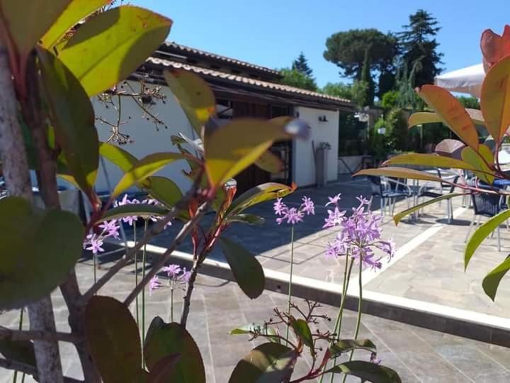 Borgo Nicoletta Case Per Le Vacanze Filandari Exterior foto